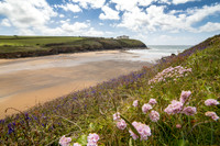 Flowers at Poldhu cove