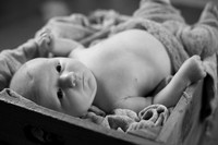 IMG_9856